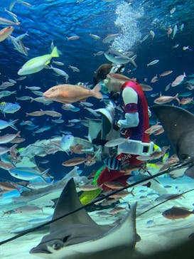 サンシャイン水族館に投稿された画像（2023/8/11）
