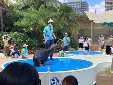サンシャイン水族館に投稿された画像（2023/8/11）
