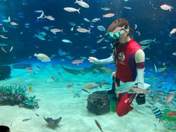 サンシャイン水族館に投稿された画像（2023/8/11）