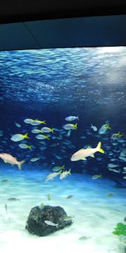 サンシャイン水族館に投稿された画像（2023/8/11）