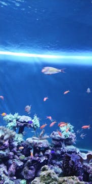 サンシャイン水族館に投稿された画像（2023/8/11）