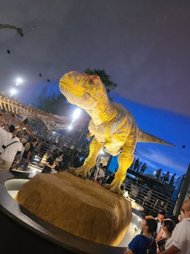 福井県立恐竜博物館に投稿された画像（2023/8/11）