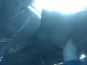 マクセル アクアパーク品川に投稿された画像（2023/8/11）