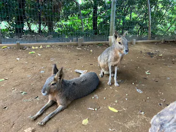 横浜・八景島シーパラダイスに投稿された画像（2023/8/11）