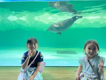 滋賀県立琵琶湖博物館に投稿された画像（2023/8/11）