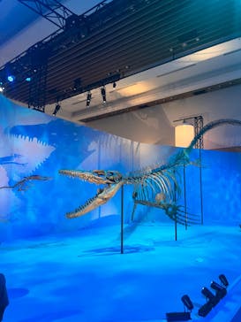 DinoScience 恐竜科学博 2023@TOKYO MIDTOWNに投稿された画像（2023/8/11）