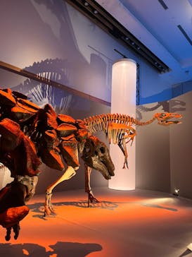 DinoScience 恐竜科学博 2023@TOKYO MIDTOWNに投稿された画像（2023/8/11）