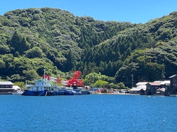 伊根湾めぐり遊覧船に投稿された画像（2023/8/11）