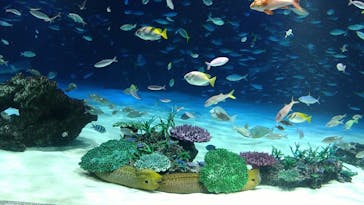 サンシャイン水族館に投稿された画像（2023/8/11）