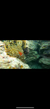 武藤潜水に投稿された画像（2023/8/11）