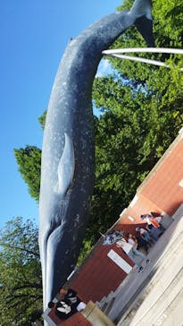 国立科学博物館に投稿された画像（2023/8/11）