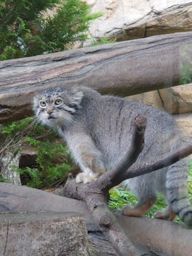 那須どうぶつ王国に投稿された画像（2023/8/11）