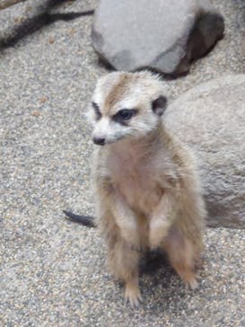 那須どうぶつ王国に投稿された画像（2023/8/11）