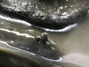 AOAO SAPPOROに投稿された画像（2023/8/11）