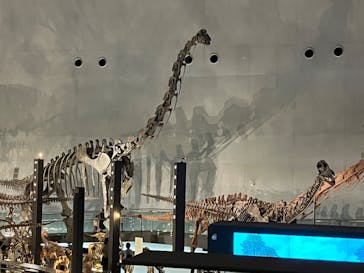 福井県立恐竜博物館に投稿された画像（2023/8/11）