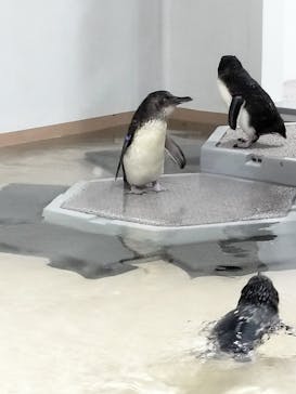 AOAO SAPPOROに投稿された画像（2023/8/11）