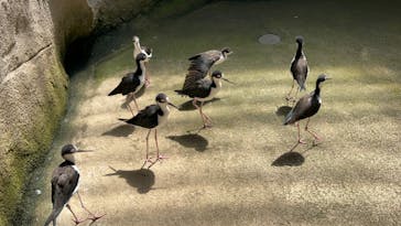 那須どうぶつ王国に投稿された画像（2023/8/11）