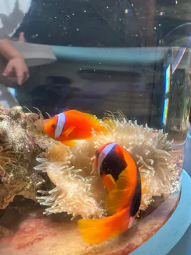 横浜・八景島シーパラダイスに投稿された画像（2023/8/11）