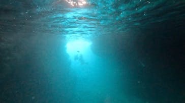 DIVING-SHOP SUNSに投稿された画像（2023/8/11）