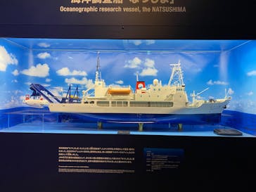 新江ノ島水族館に投稿された画像（2023/8/11）