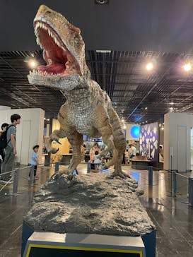 福井県立恐竜博物館に投稿された画像（2023/8/11）