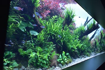 AOAO SAPPOROに投稿された画像（2023/8/11）