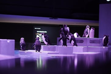 AOAO SAPPOROに投稿された画像（2023/8/11）