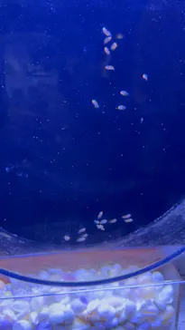 マクセル アクアパーク品川に投稿された画像（2023/8/11）