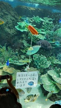 名古屋港水族館に投稿された画像（2023/8/11）