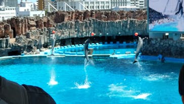名古屋港水族館に投稿された画像（2023/8/11）