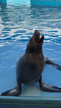 南知多ビーチランド＆南知多おもちゃ王国に投稿された画像（2023/8/11）