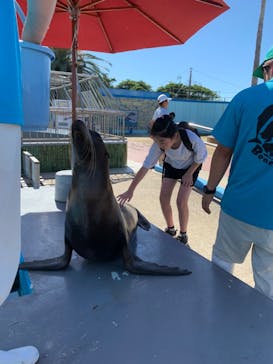 南知多ビーチランド＆南知多おもちゃ王国に投稿された画像（2023/8/11）