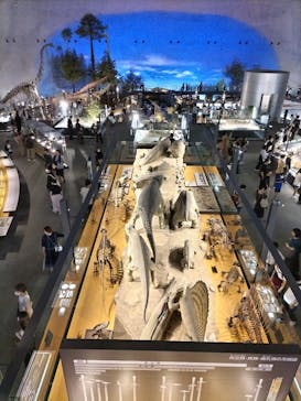 福井県立恐竜博物館に投稿された画像（2023/8/11）
