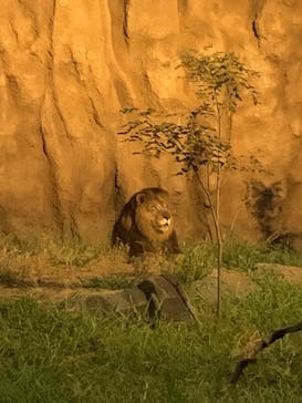 日立市かみね動物園に投稿された画像（2023/8/11）