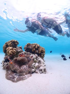 CHAMP TOUR　宮古島に投稿された画像（2023/8/11）