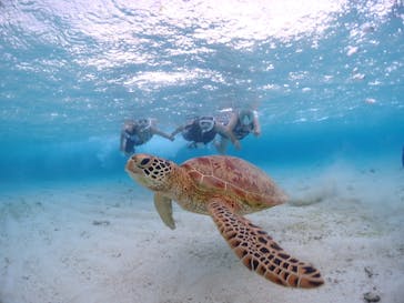 CHAMP TOUR　宮古島に投稿された画像（2023/8/11）