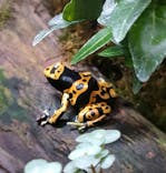 体感型動物園iZooに投稿された画像（2023/8/11）