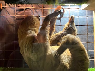 ぶっとんでるいきもの展に投稿された画像（2023/8/11）