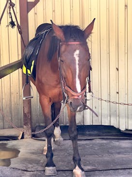 天狗温泉浅間山荘に投稿された画像（2023/8/11）