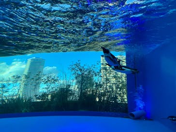 サンシャイン水族館に投稿された画像（2023/8/11）