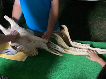 日立市かみね動物園に投稿された画像（2023/8/11）