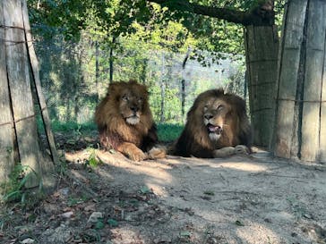 姫路セントラルパークに投稿された画像（2023/8/11）