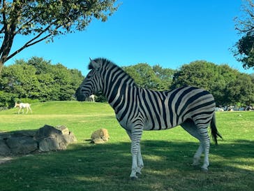 姫路セントラルパークに投稿された画像（2023/8/11）