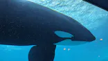 名古屋港水族館に投稿された画像（2023/8/11）