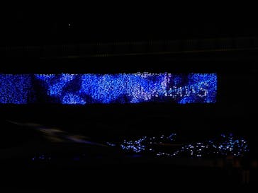 島根県立 しまね海洋館に投稿された画像（2023/8/11）