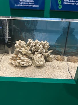 あぶくま洞に投稿された画像（2023/8/11）