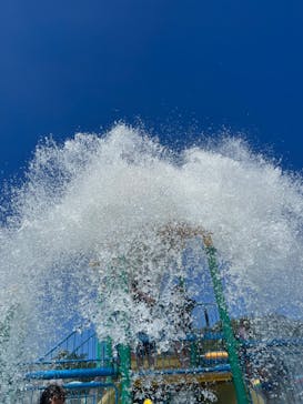 日本モンキーパークに投稿された画像（2023/8/11）