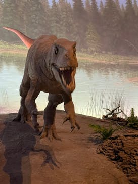 福井県立恐竜博物館に投稿された画像（2023/8/11）