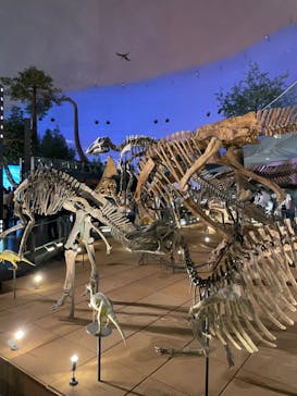 福井県立恐竜博物館に投稿された画像（2023/8/11）