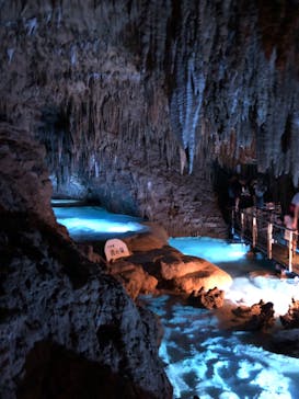 おきなわワールドに投稿された画像（2023/8/11）